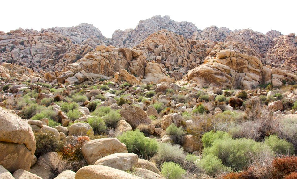 Boulder field at Rattlesnake Canyon