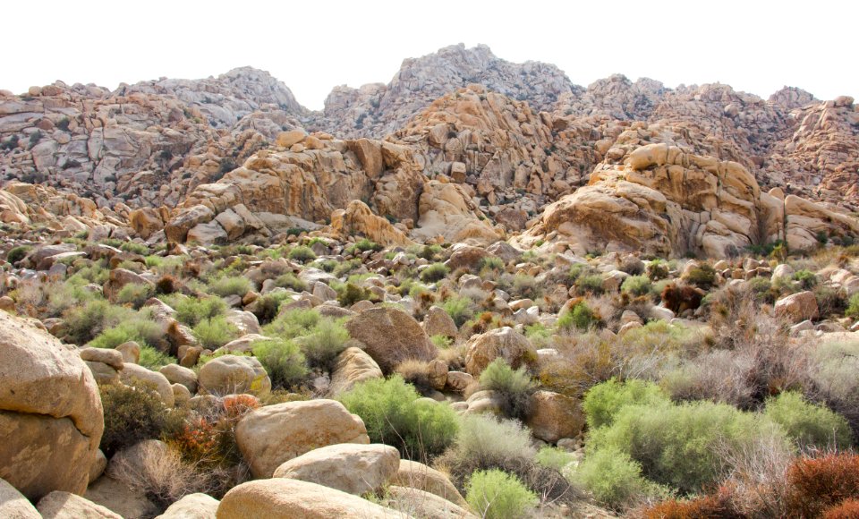 Boulder field at Rattlesnake Canyon photo