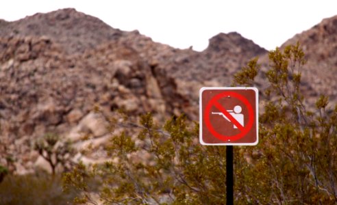 No shooting or hunting is allowed in Joshua Tree National Park