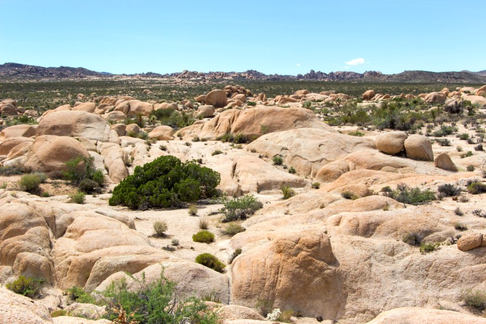 Boulders near White Tank Campground