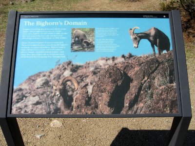 Joshua Tree Wayside circa early 2000s - Bighorn's Domain