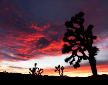 Sunset in Lost Horse Valley; 12/3/15 photo