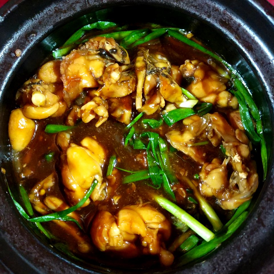 frog in claypot, frog porridge in saigon vietnam, street food, cháo ếch vỉa hè, món ăn đường phố