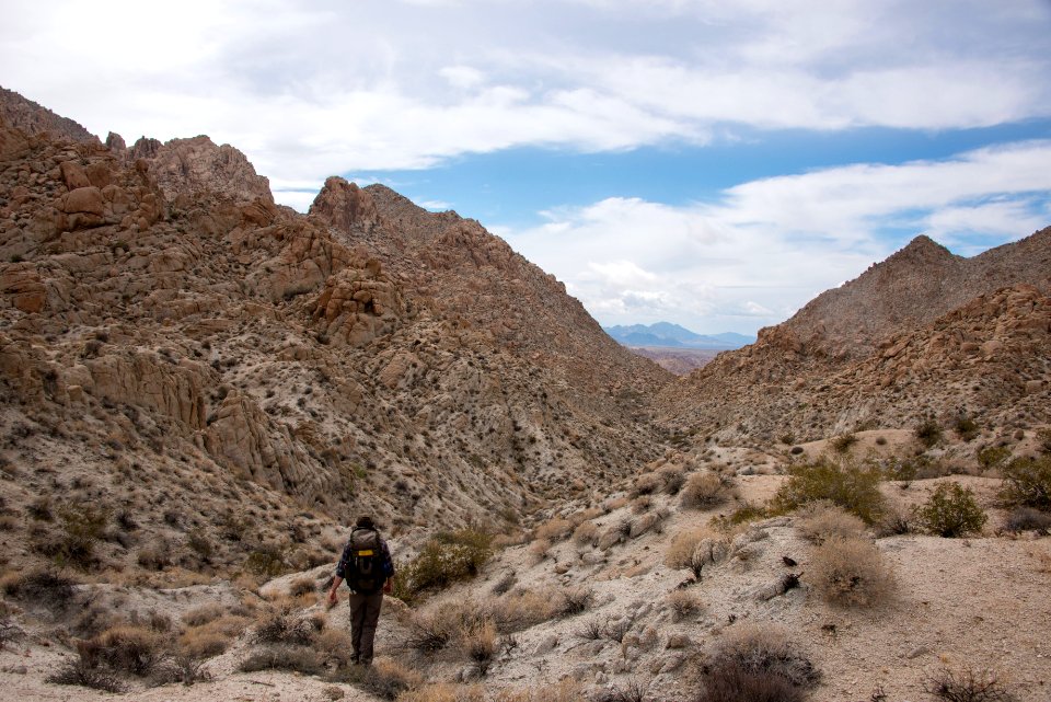 Coxcomb Mountains