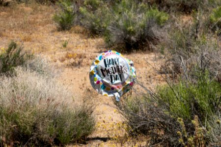 Balloon litter