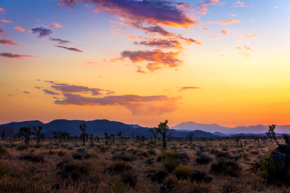 Queen Valley overlooking Ryan Mountain at sunset