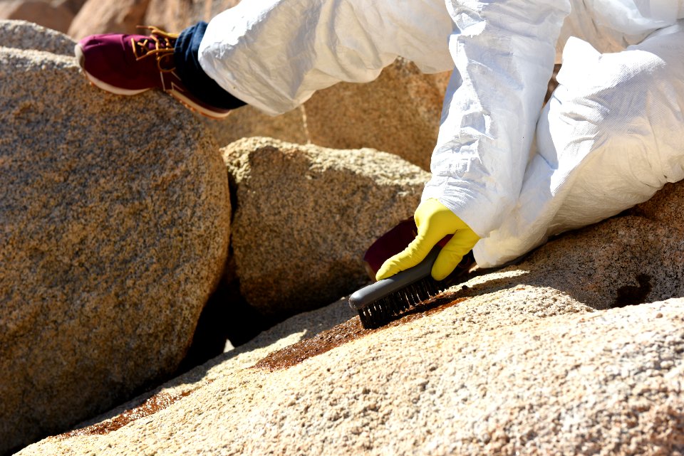 Graffiti Removal Day with Volunteers