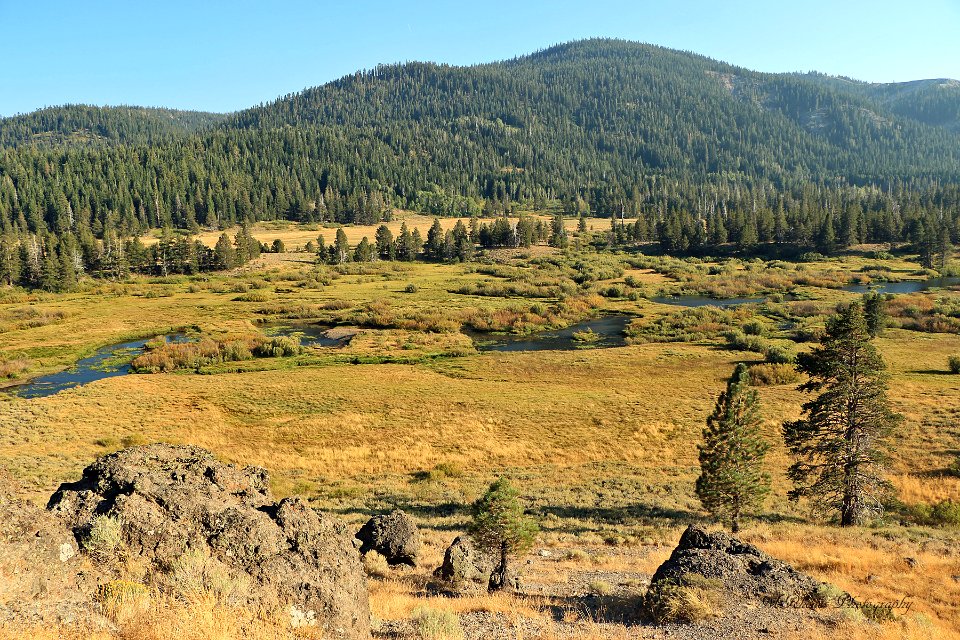 Tahoe National Forest