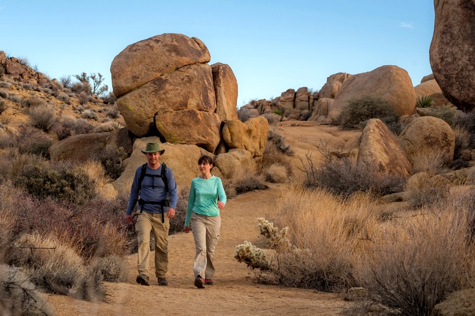 Hikers Walking Side by Side on a Trail