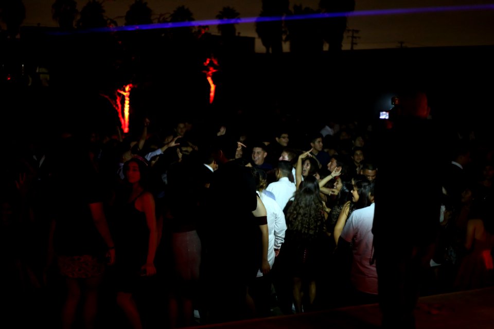 IMG 0598