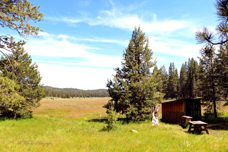 Kyburz Flat
