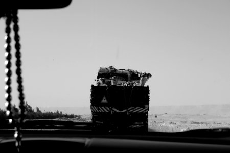 Camel Road Trip
