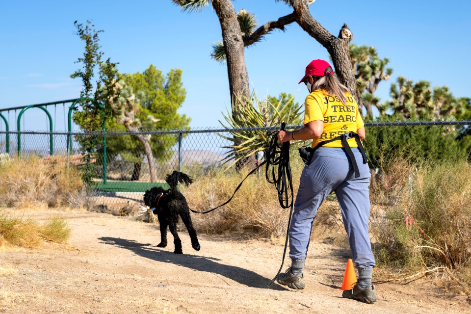 Search and Rescue Canine Team with volunteer