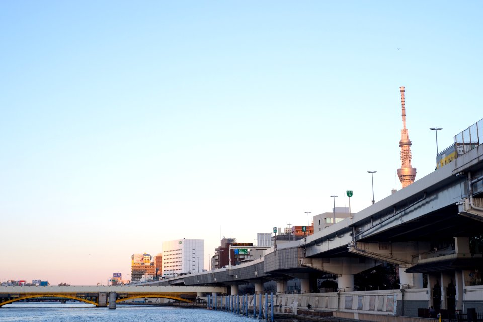 Sumida River Curuise