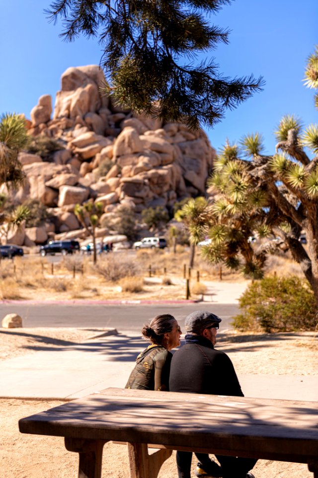 Visitors in Hidden Valley Picnic area