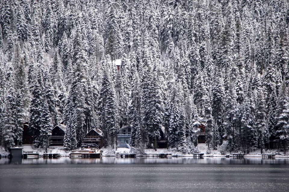 Donner Lake, Truckee
