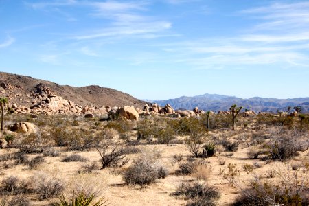 White Tank Campground photo