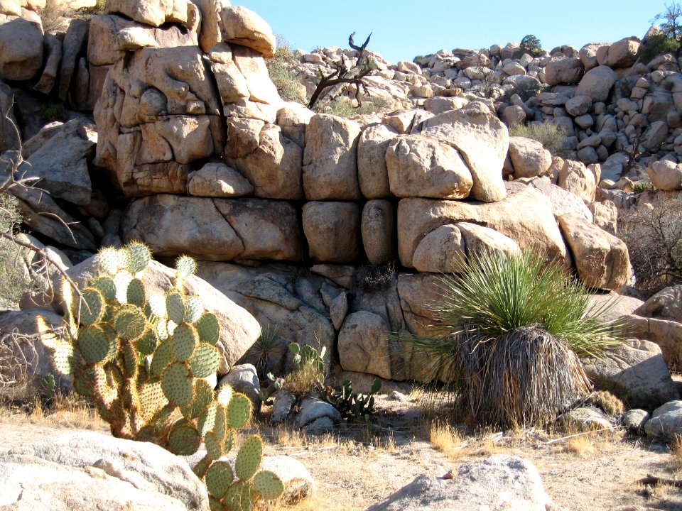 Desert Queen Ranch (Keys Ranch)