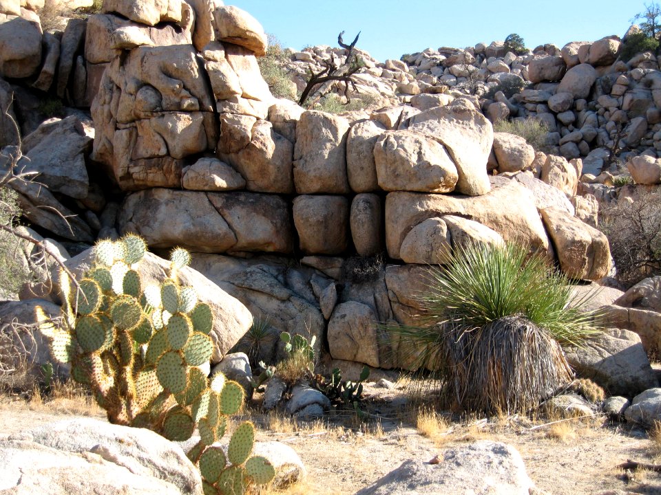 Desert Queen Ranch (Keys Ranch) photo