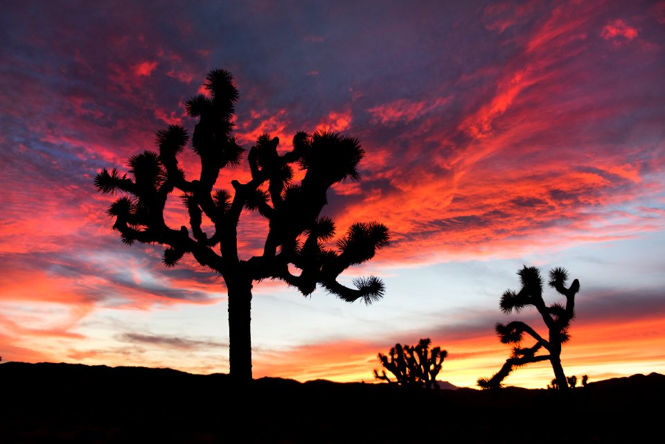 Sunset in Lost Horse Valley; 12/3/15