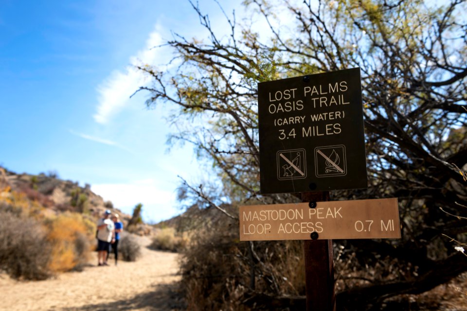 Lost Palms Oasis Trail Sign near Cottonwood Springs photo