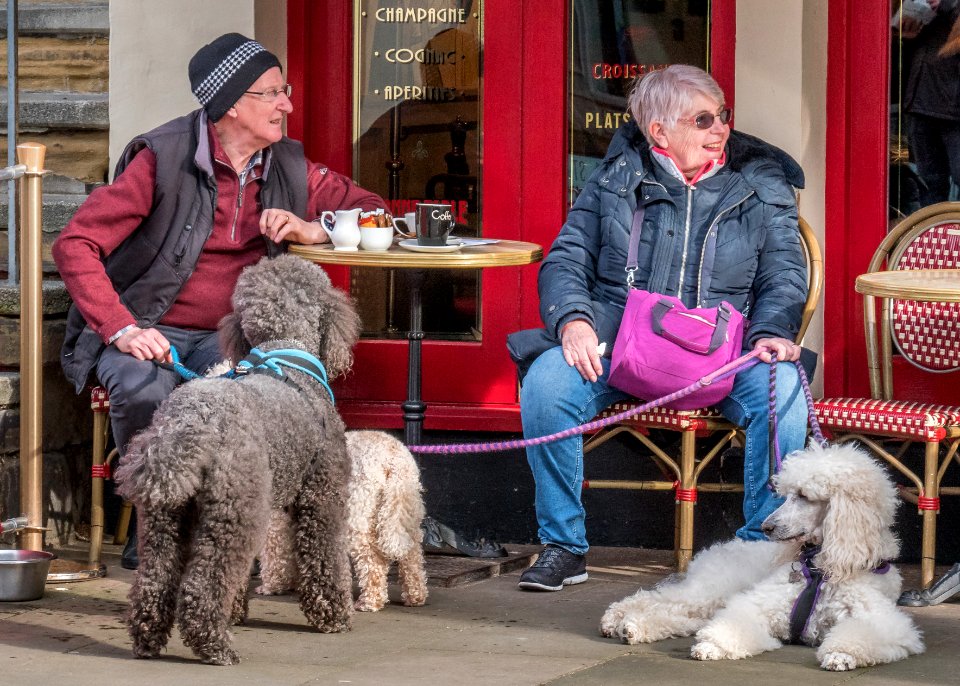 Elevenses, Chester, Cheshire, UK, 2020
