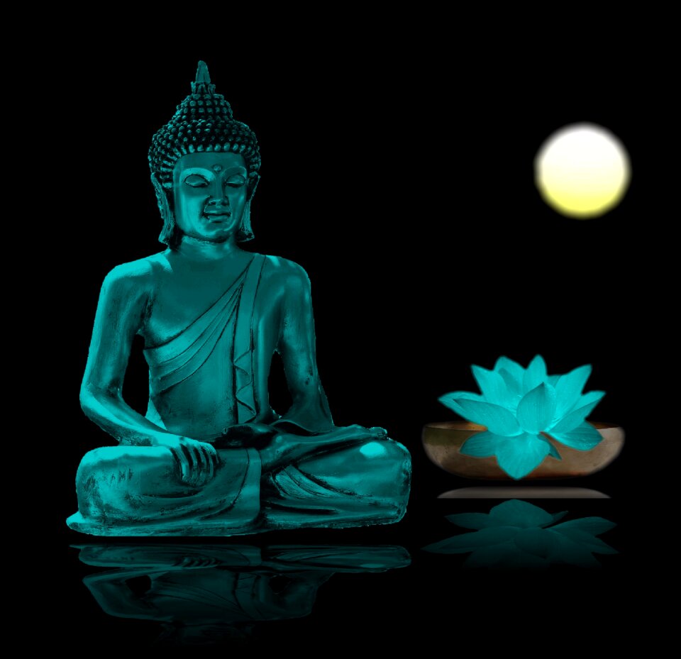 Meditate buddhism wellness