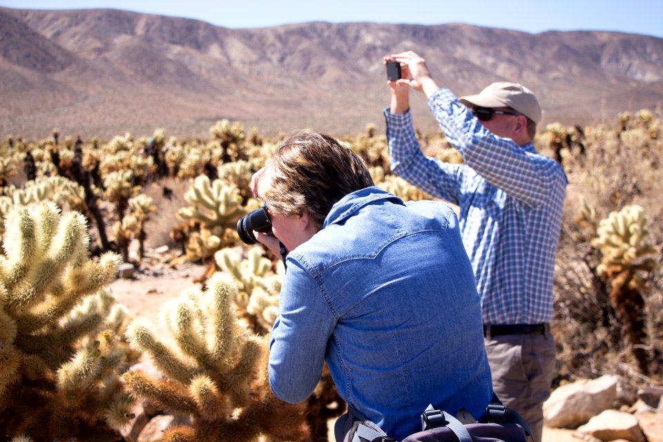 Photographers at The Cholla Cactus Garden