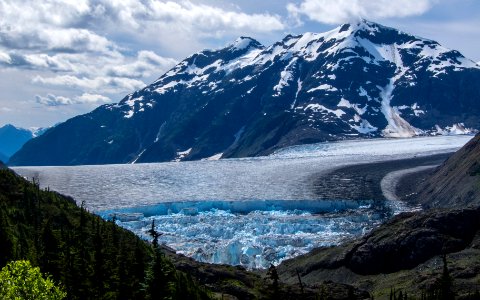 Salmon Glacier photo