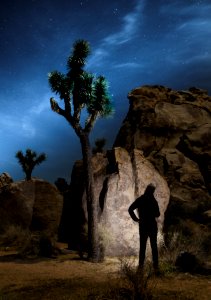 Visitor Under Stars