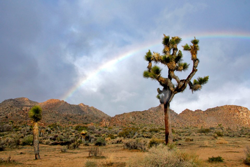 Rainbow on a stormy day
