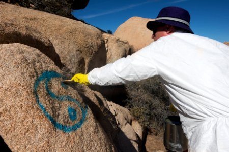 Applying Elephant Snot to graffiti for removal