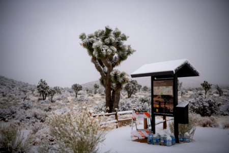 Snow falling over the backcountry board at Covington Flats photo