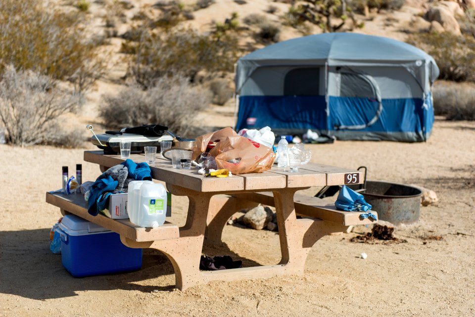 Unattended food left in a campsite