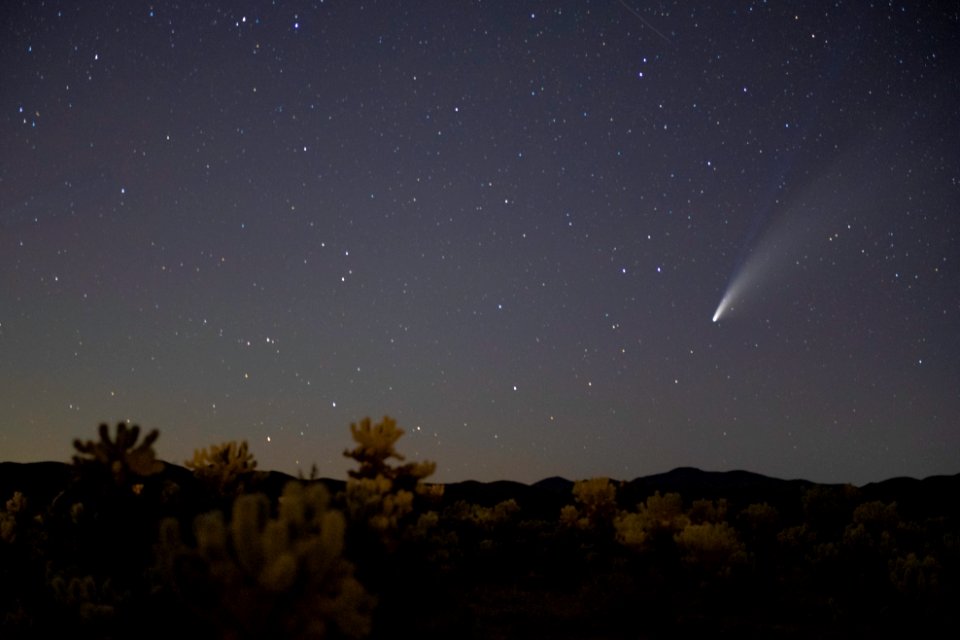 Comet NEOWISE over Cholla Cactus Garden
