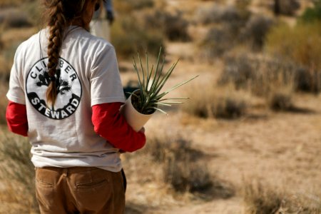 Carrying plants to dug holes near Hemingway Buttress