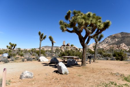 Ryan Campground