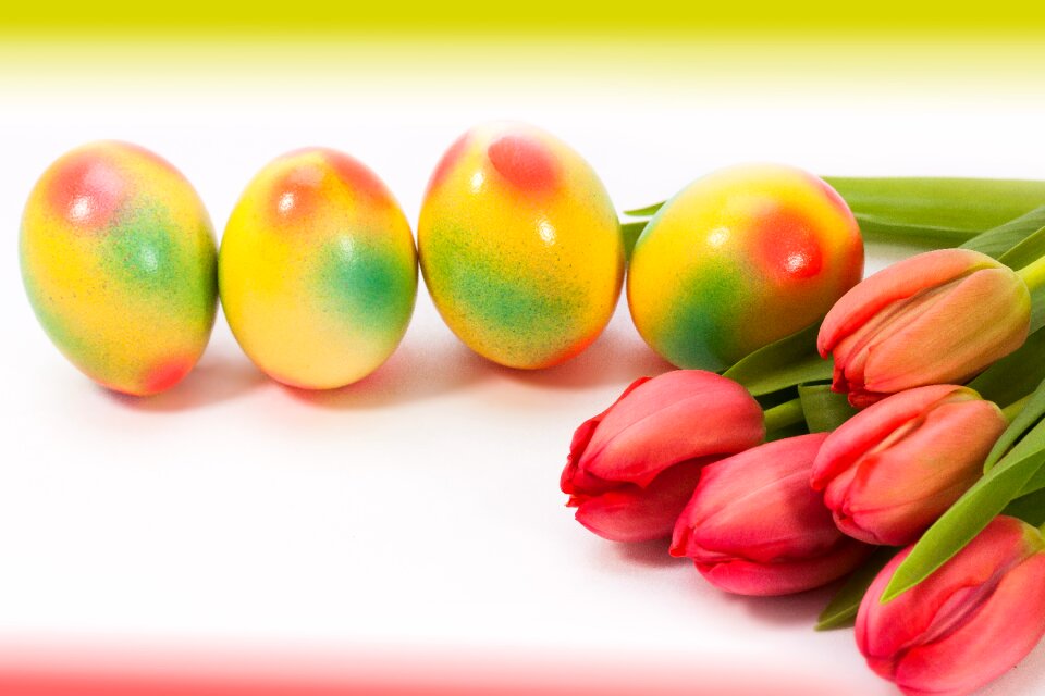 Frühlingsanfang spring awakening easter