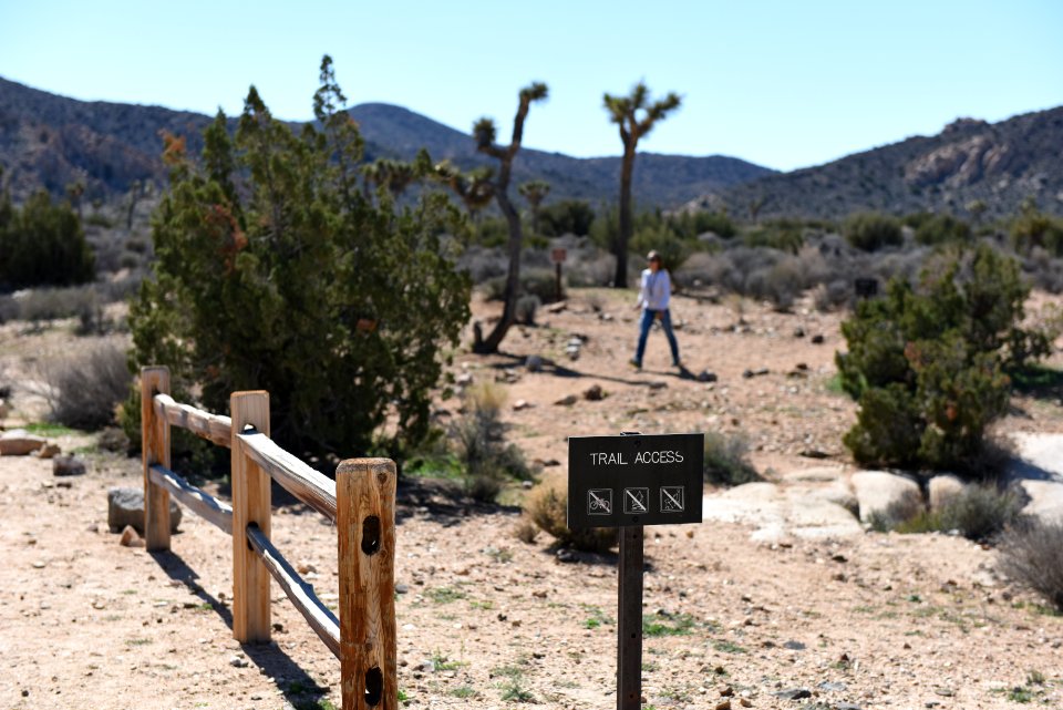 Trail Access from Ryan Campground