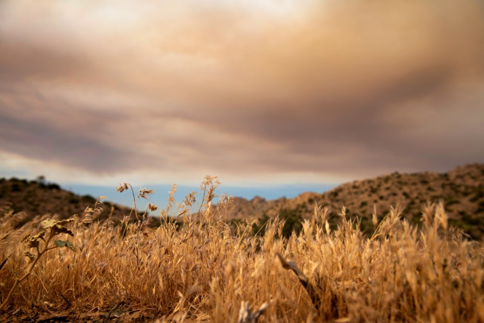 Smoke from the Apple Fire over Covington Flats