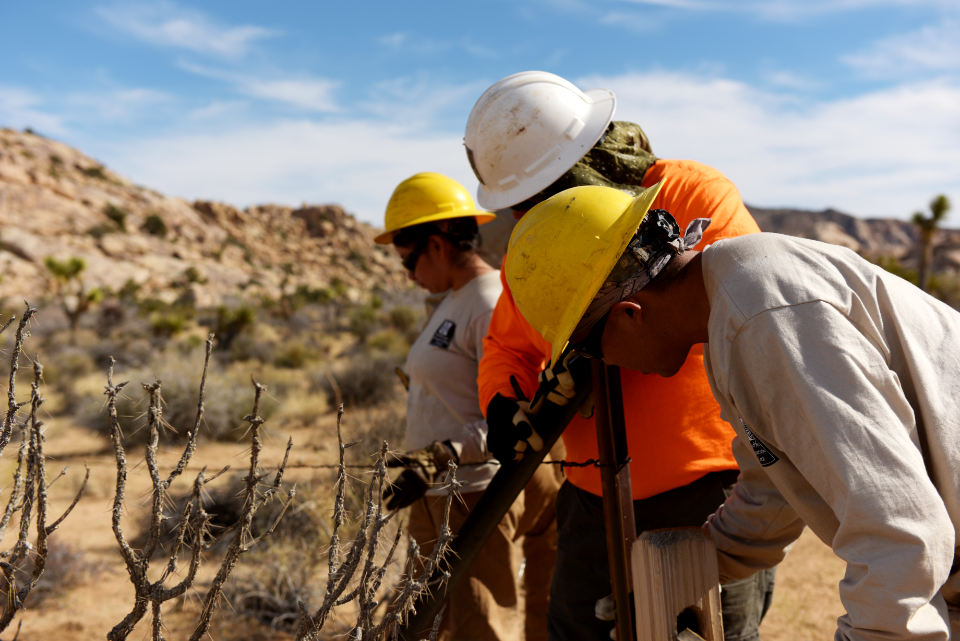 SCC Restoration at Keys Ranch