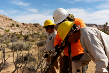 SCC Restoration at Keys Ranch