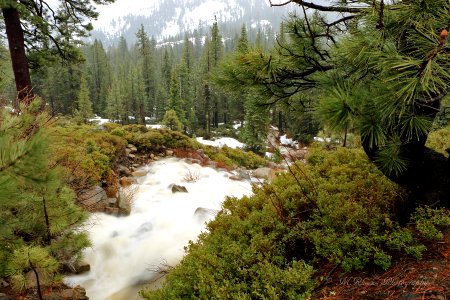 Storm runoff on Old Donner Pass Road photo