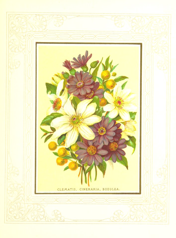 Floral Poetry and the language of flowers. With coloured illustrations. [The editor's preface is signed J. H. S.]