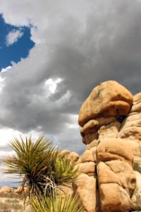 Stirrup Tank Rocks, Clouds, and Mojave Yucca
