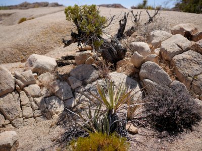 Geologic formations at Skull Rock
