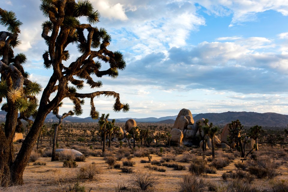 Sunset near Hidden Valley