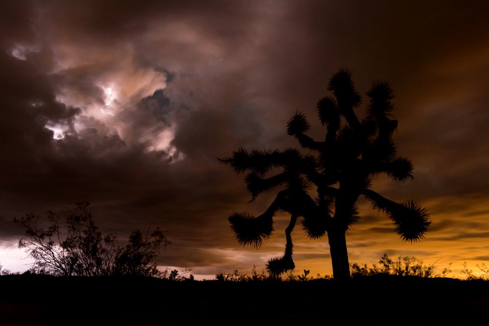 Stormclouds illuminated by lightning; 2015 Night Sky Festival; 2015 Night Sky Festival