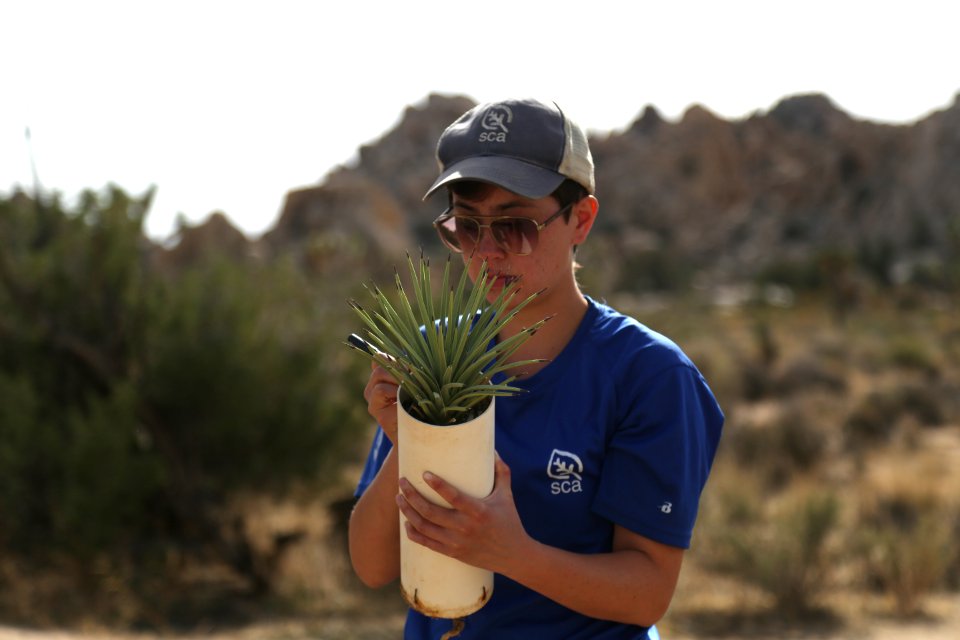 Cataloging native plants near Hemingway Buttress