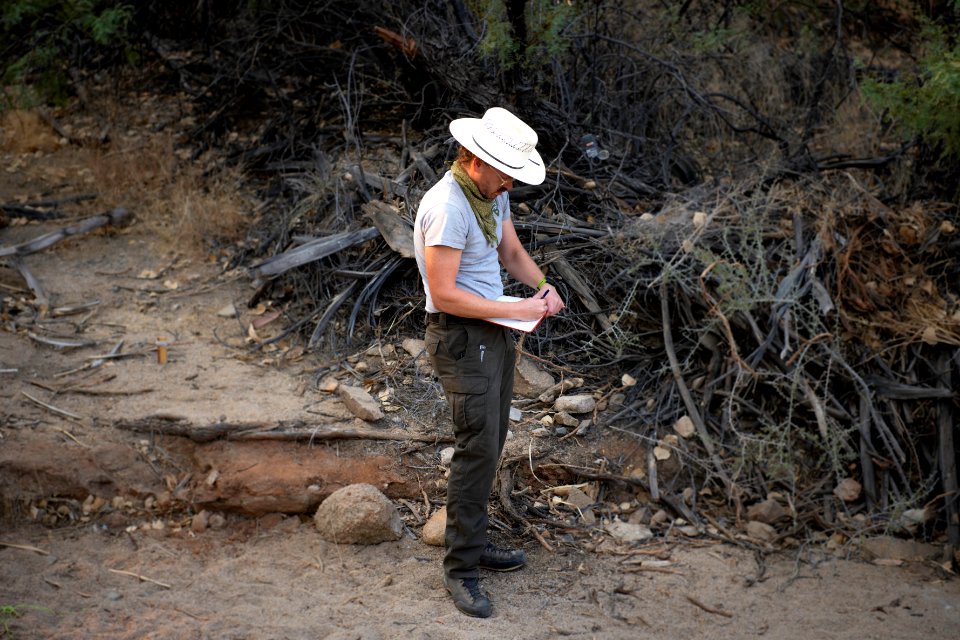 Park rangers performing archaeology surveys at Cottonwood Springs